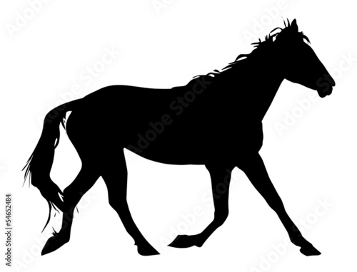 silhouette of the black horse vector illustration