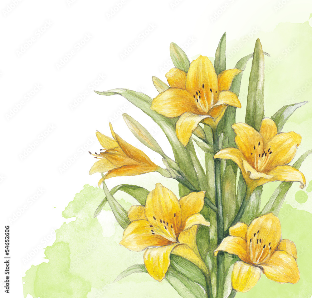 Watercolor lily flower. Perfect for invitation of greeting card