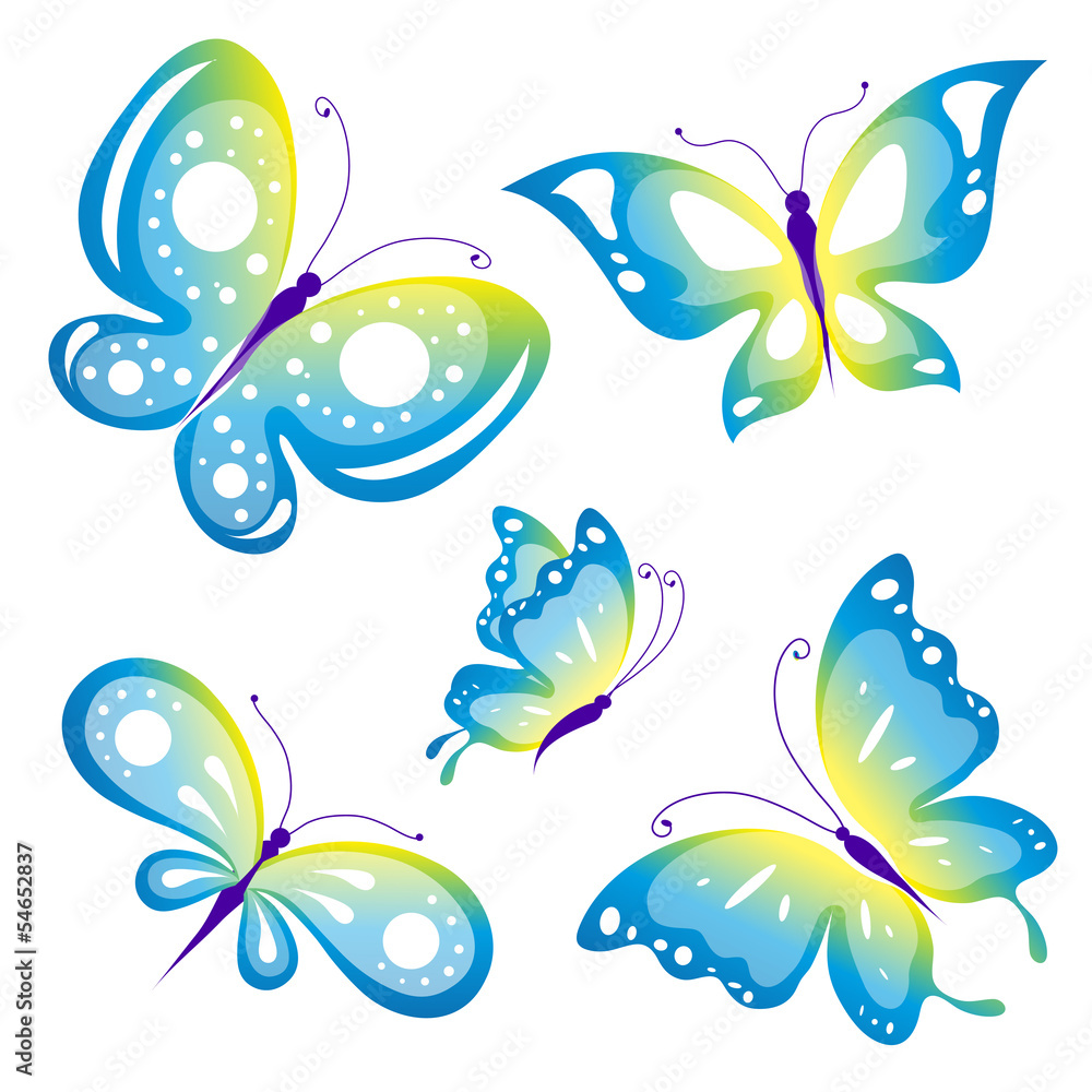 Obraz premium butterflies design