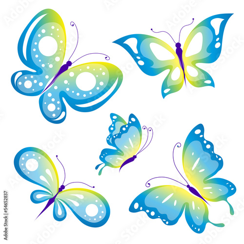 butterflies design