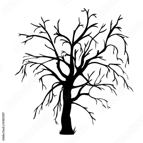 vector black silhouette of a bare tree