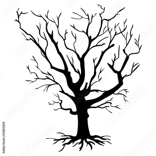Fototapeta Naklejka Na Ścianę i Meble -  vector black silhouette of a bare tree