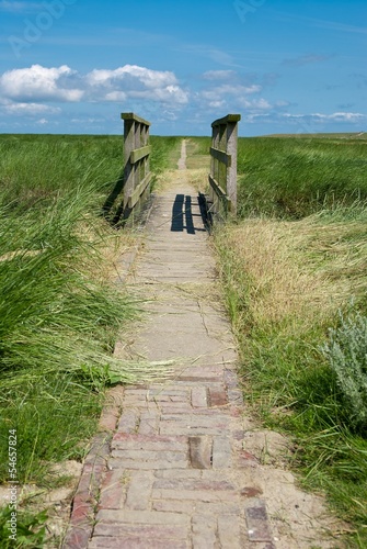 Stockenstieg, historischer Weg durch Salzwiesen, Westerheversand, Schleswig-Holstein, Deutschland, Europa photo