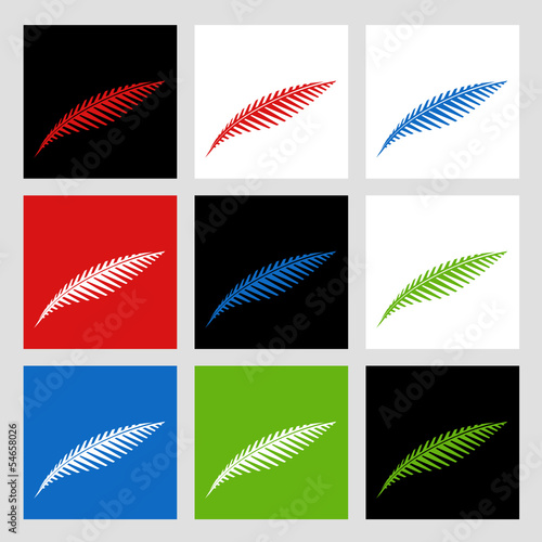 feathers vector