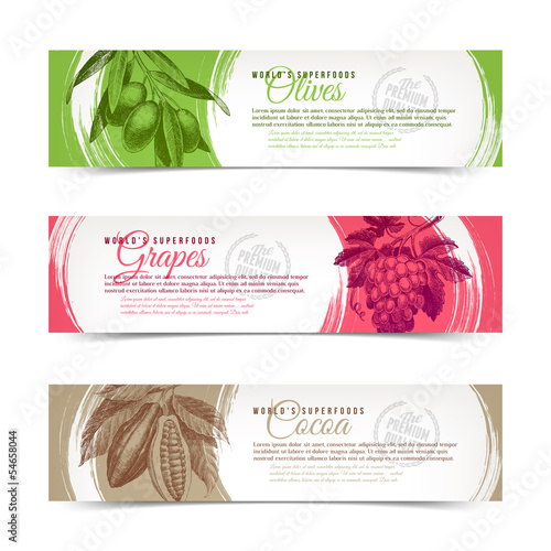 Vector banners with hand drawn grapes, olives and cocoa beans