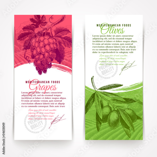 Vector vertical banners with hand drawn grapes and olives