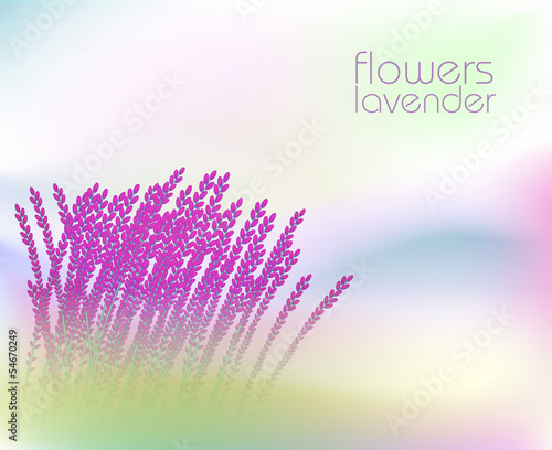 Fototapeta Naklejka Na Ścianę i Meble -  Abstract background with  lavender