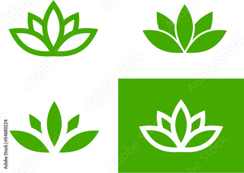 Green lotus set (vector illustration)