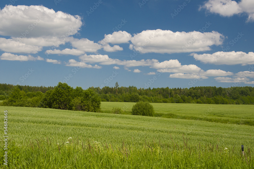 Wide field Wide field
