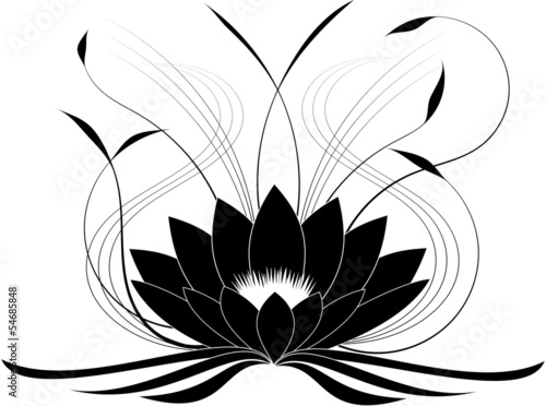 Black japanese lotus (vector illustration)