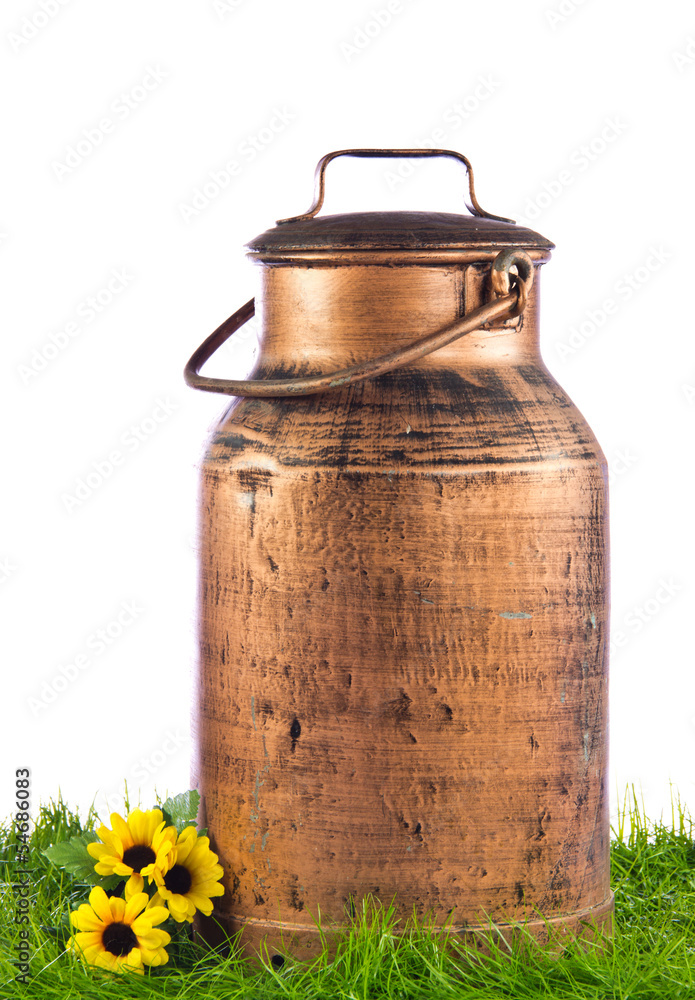 Milk can on green grass. retro milk container Milk can on green grass. retro milk container