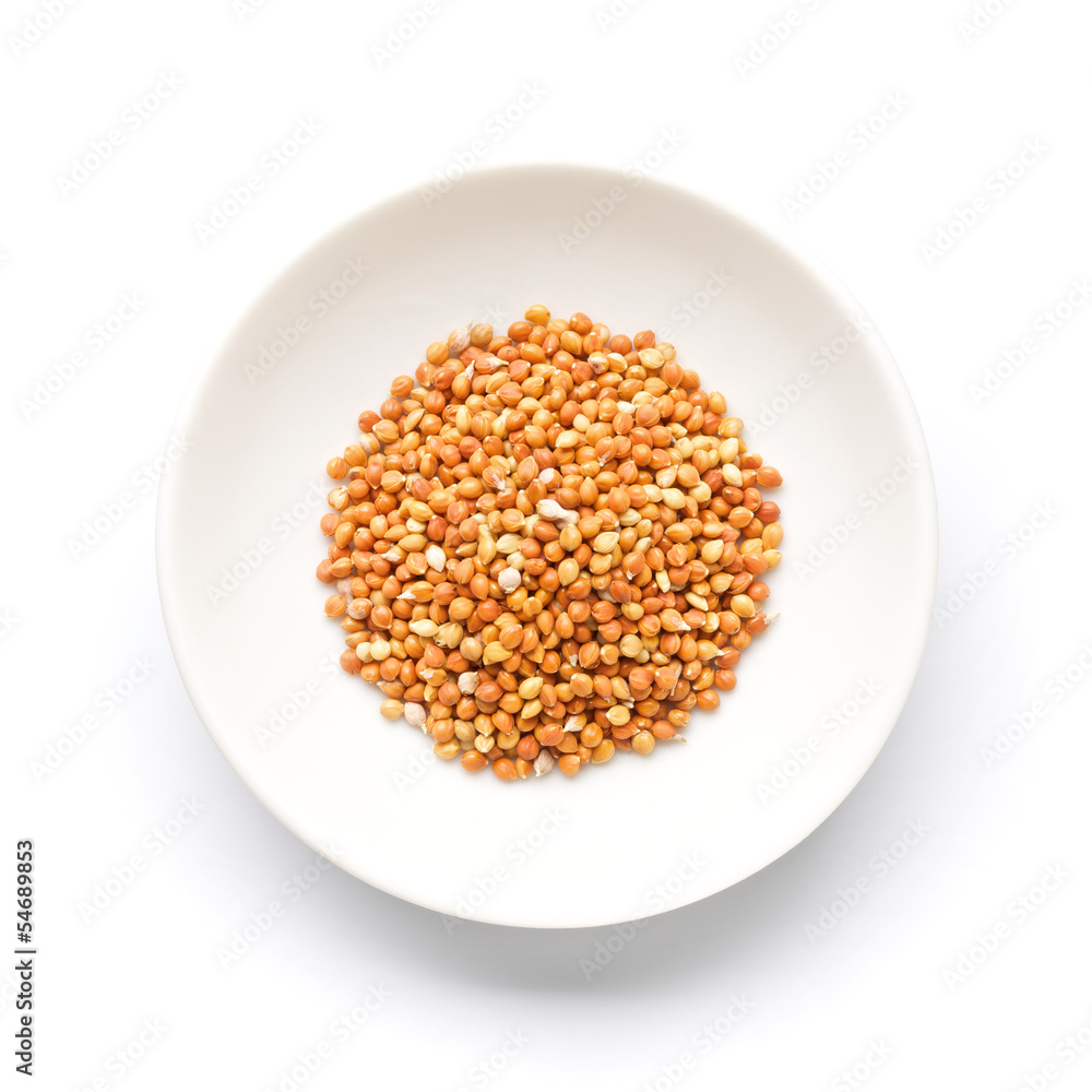 Red foxtail millet with husks Red foxtail millet with husks