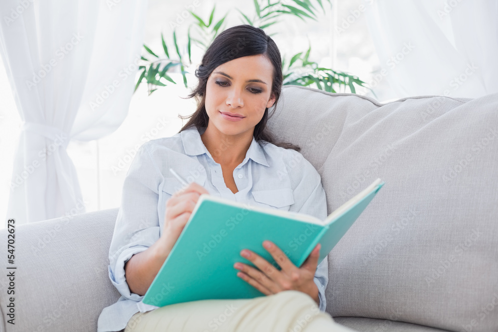 Concentrated gorgeous brunette writing while sitting on the sofa Concentrated gorgeous brunette writing while sitting on the sofa