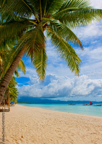 tropical island - sea  sky and palm trees