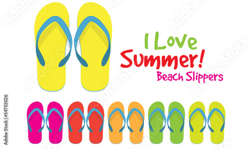 Vector Slippers