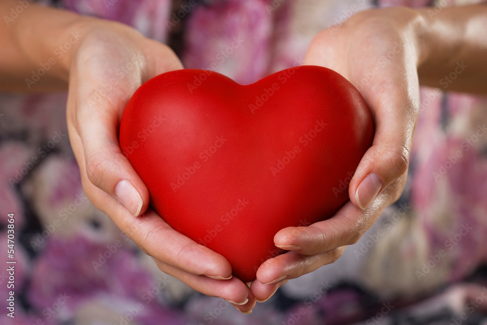 Obraz premium heart in palms