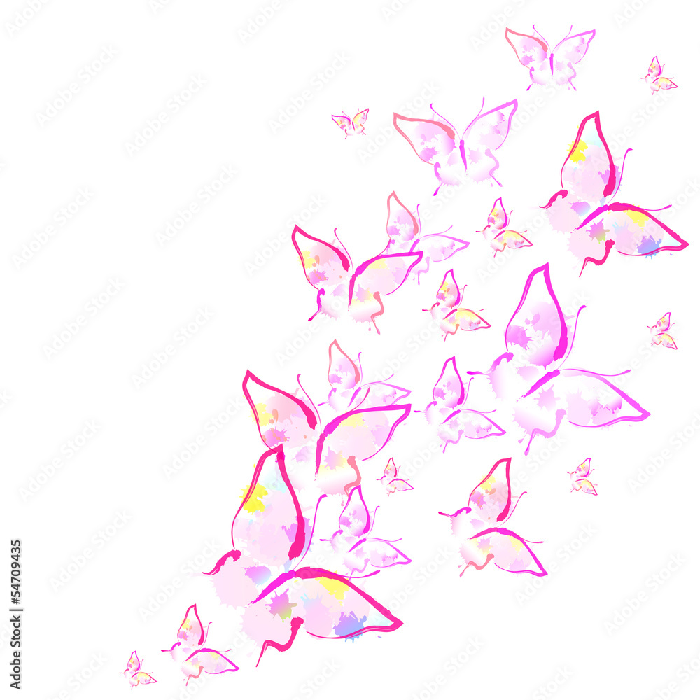 butterflies design vector