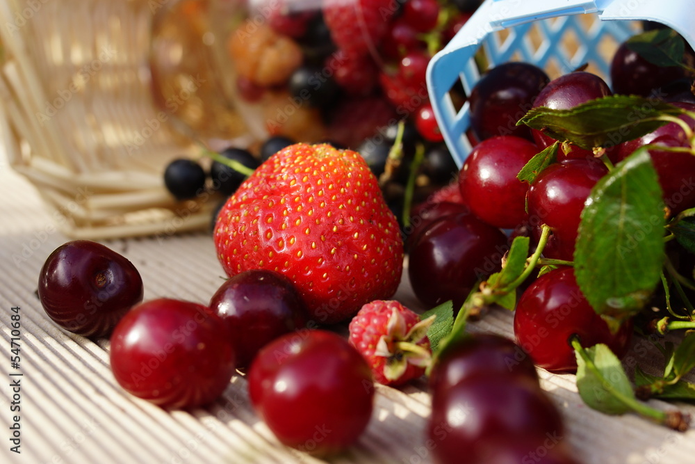 Wild strawberry, raspberries and currants Wild strawberry, raspberries and currants