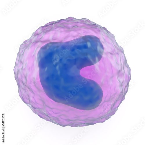 Monocyte