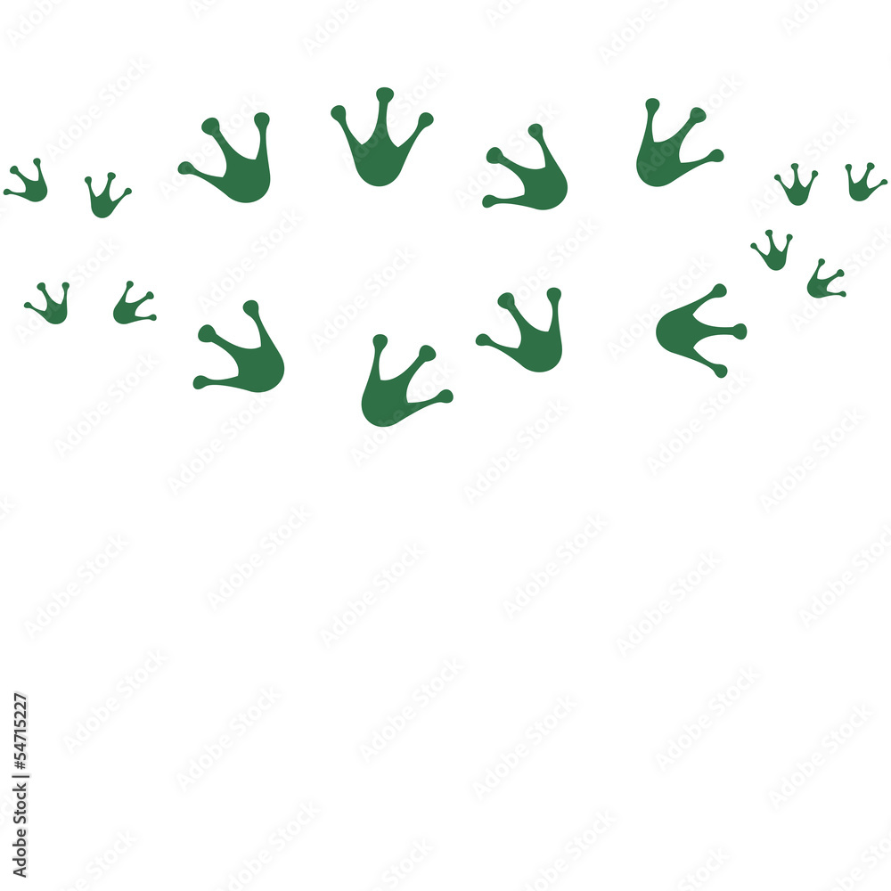Frog Family Frog Family