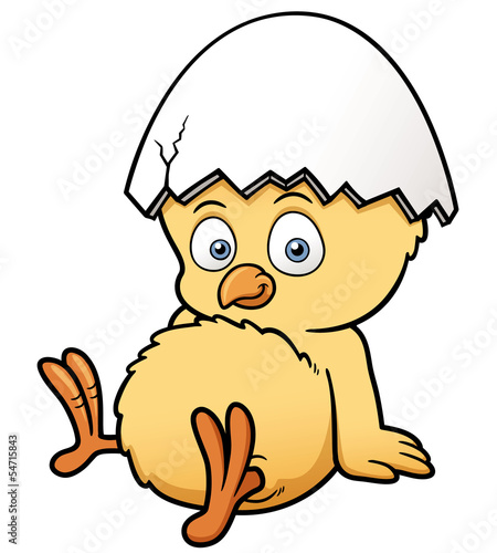 Vector illustration of little chicken