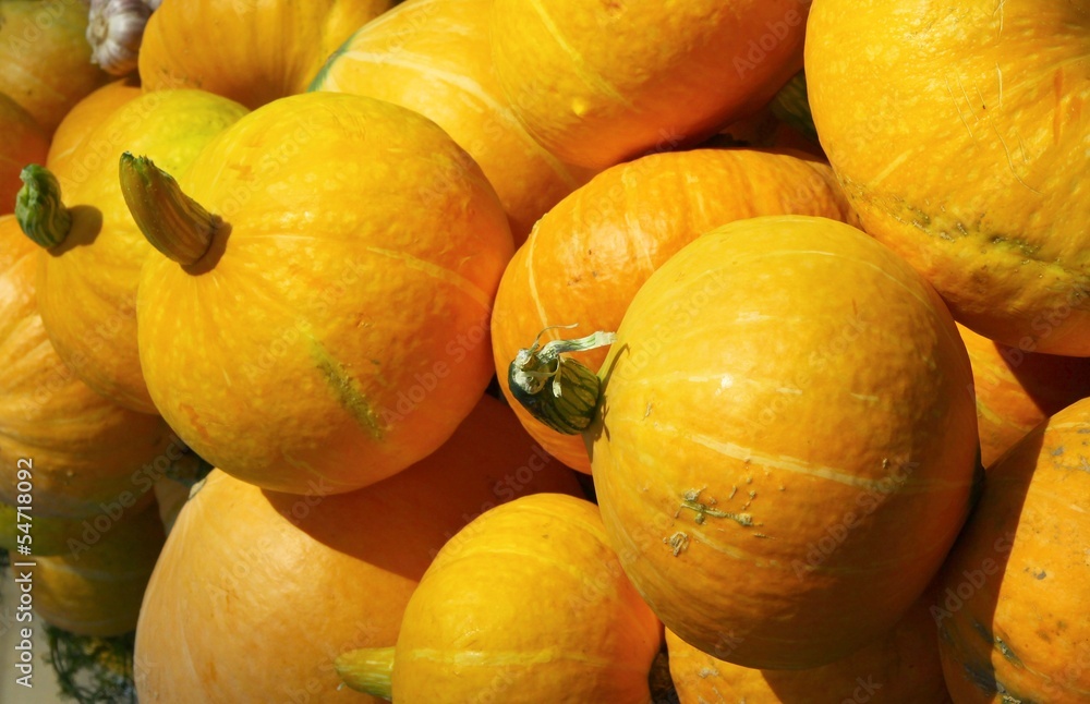 yellow pumpkins