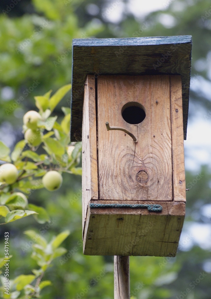 wooden breeding kennel for birds wooden breeding kennel for birds