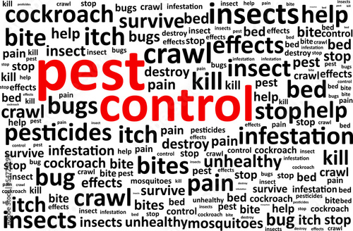 Pest Control Word Cloud