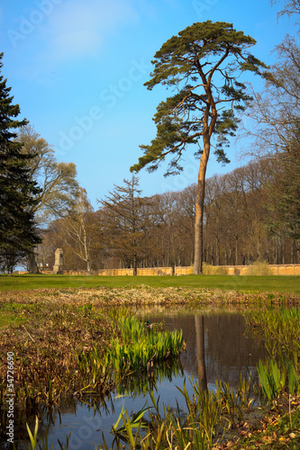 beautiful pond in the Jaegerspris park in Denmark photo