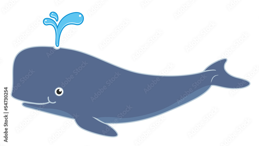 whale cartoon whale cartoon