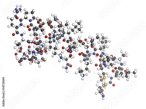 Fototapeta Naklejka Na Ścianę i Meble -  Salmon calcitonin peptide hormone drug, chemical structure.