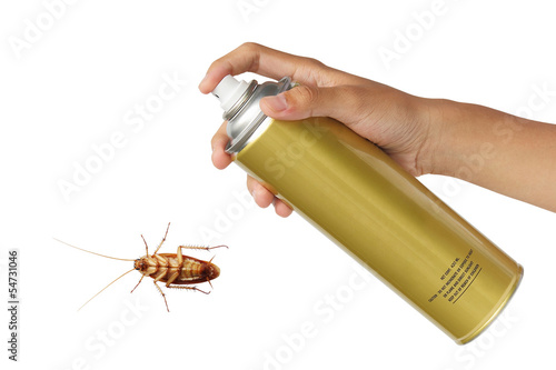Cockroach spray with spray cans isolated over white background