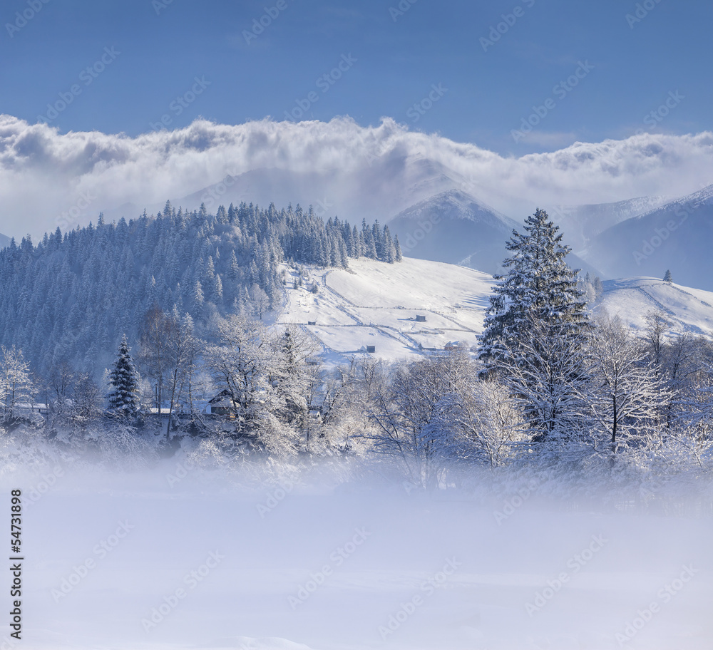 Beautiful winter landscape in mountain village