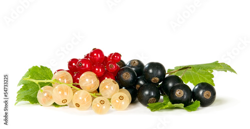 Currant with leaves, food concept