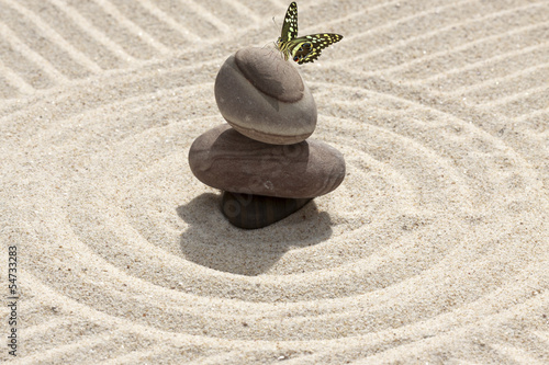 galets et papillon sur sable photo