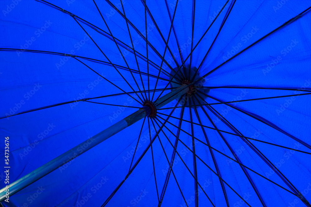 Obraz premium Umbrella