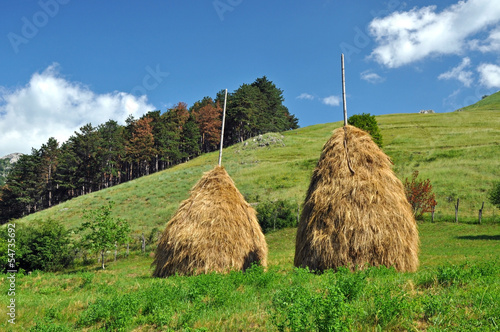 Valokuvatapetti Haystacks in a meadow, rural countryside