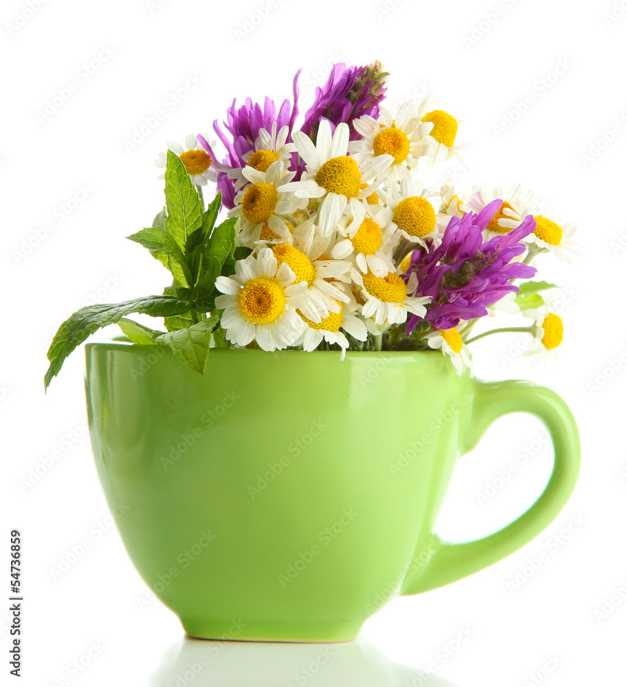 Beautiful wild flowers and mint in cup, isolated on white