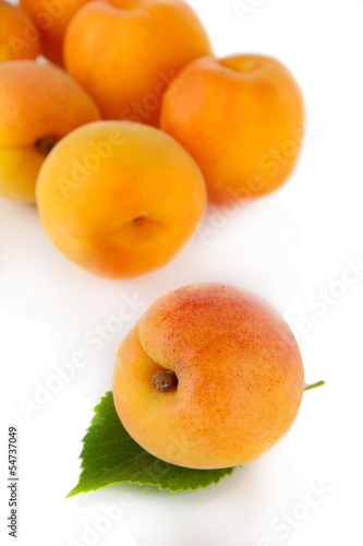 Apricots on white