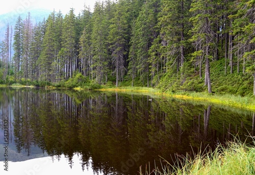 Smreczyński pond. Tatra Mountains. Poland