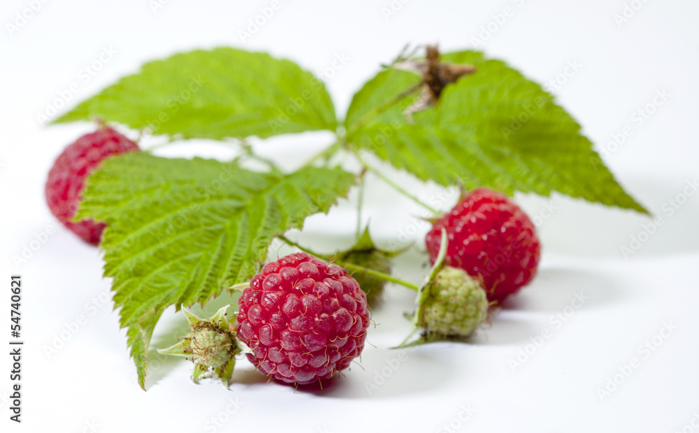 Juicy raspberry in closeup Juicy raspberry in closeup