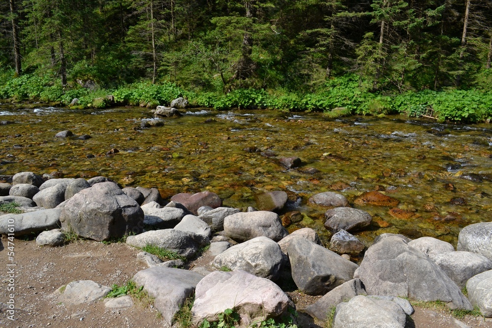 Fototapeta premium stream in the mountains. Tatra Mountains. Poland