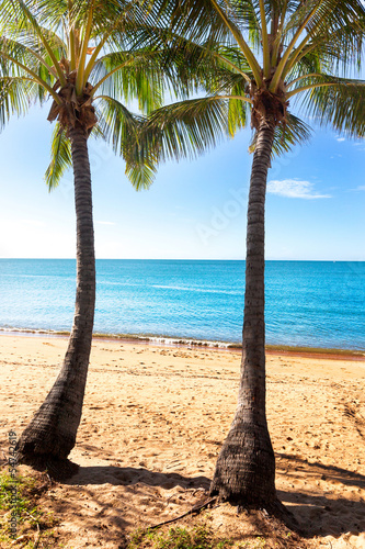 Two palm trees on tropical beach