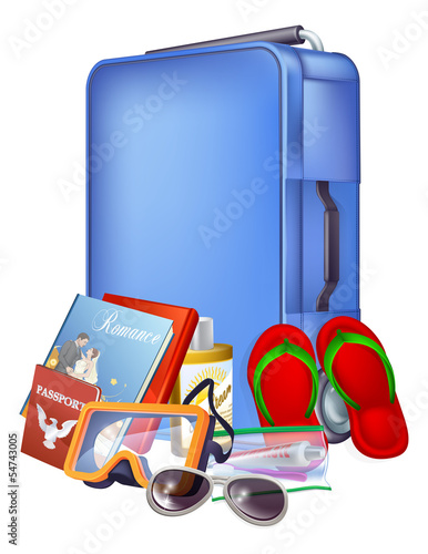 Trolley case and packing