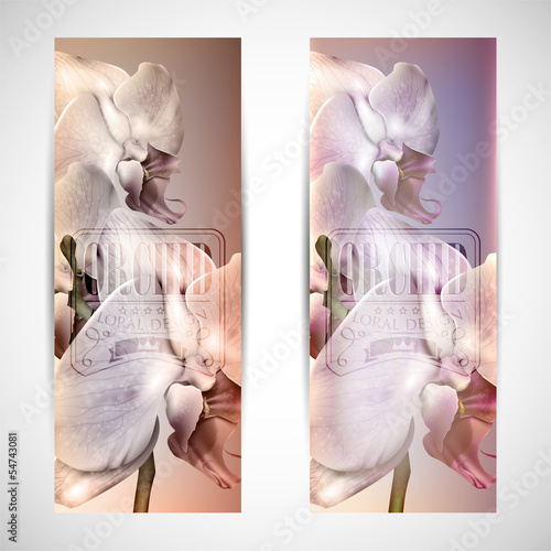 Fototapeta Naklejka Na Ścianę i Meble -  set of vintage cards with blossom orchid