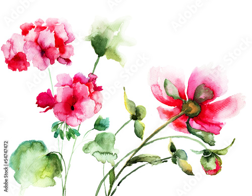 Geranium and Peony flowers