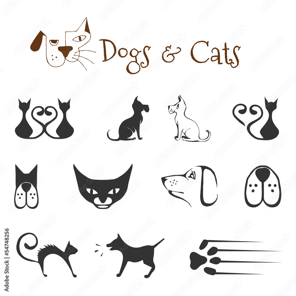 dogs and cats