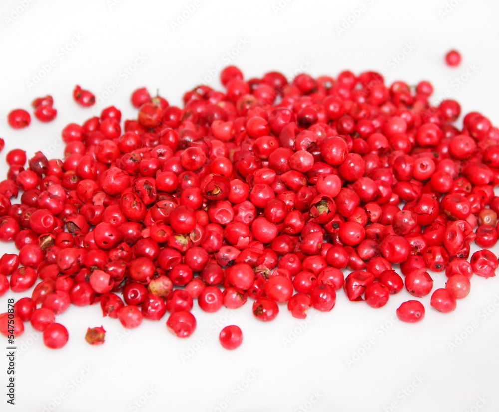 Roter Pfeffer Roter Pfeffer