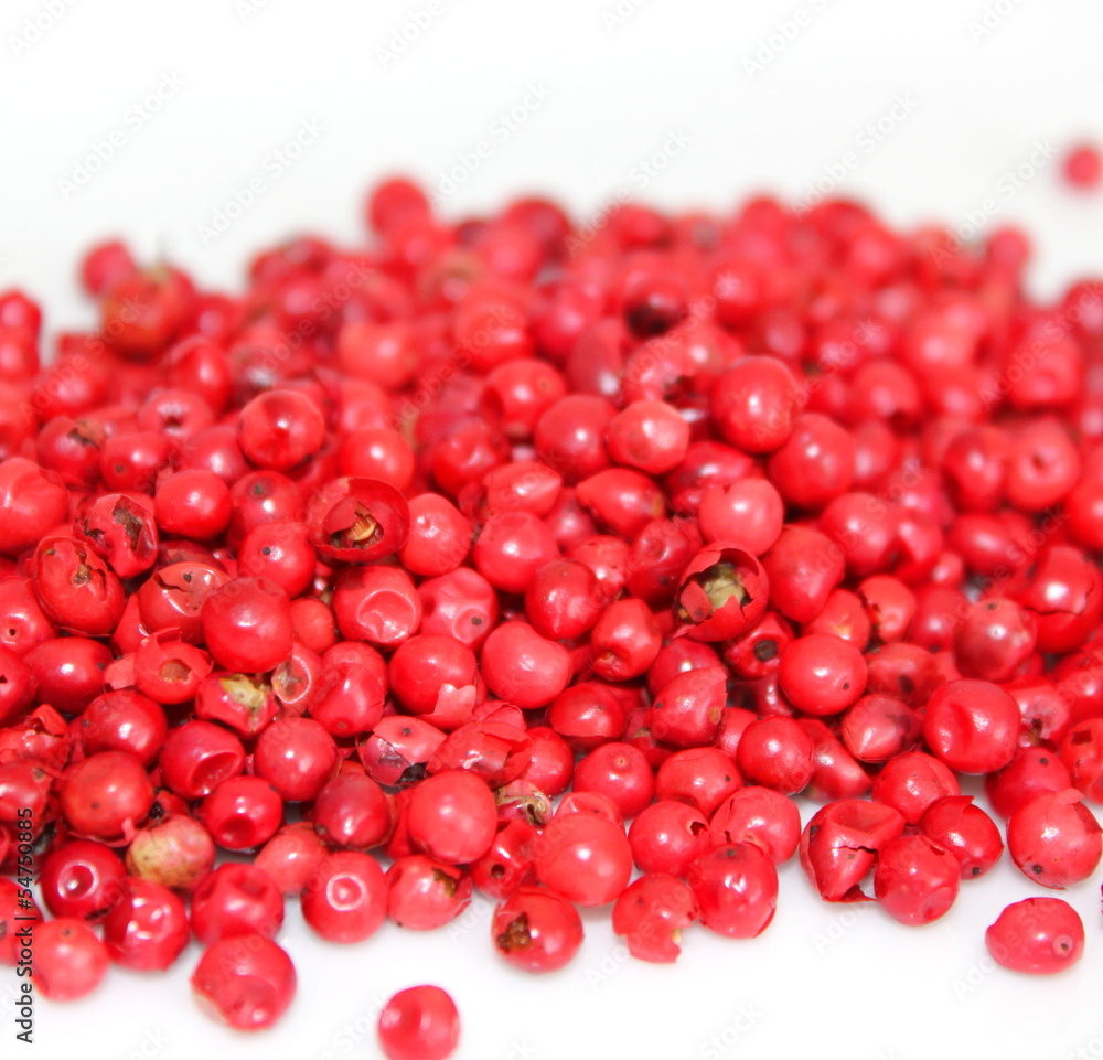 Roter Pfeffer Roter Pfeffer