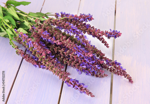 Salvia flowers on purple wooden background